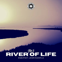 RIVER OF LIFE (individual sample)