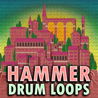 @TheZachMichael - HAMMER Drum Loops