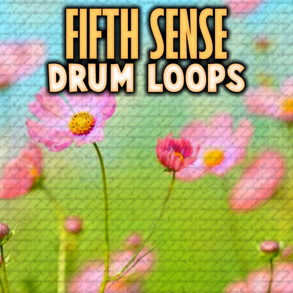 @TheZachMichael - FIFTH SENSE Drum Loops