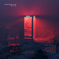 Soul-Fi Samples vol.2