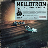 Mellotron Expansion Pack 01